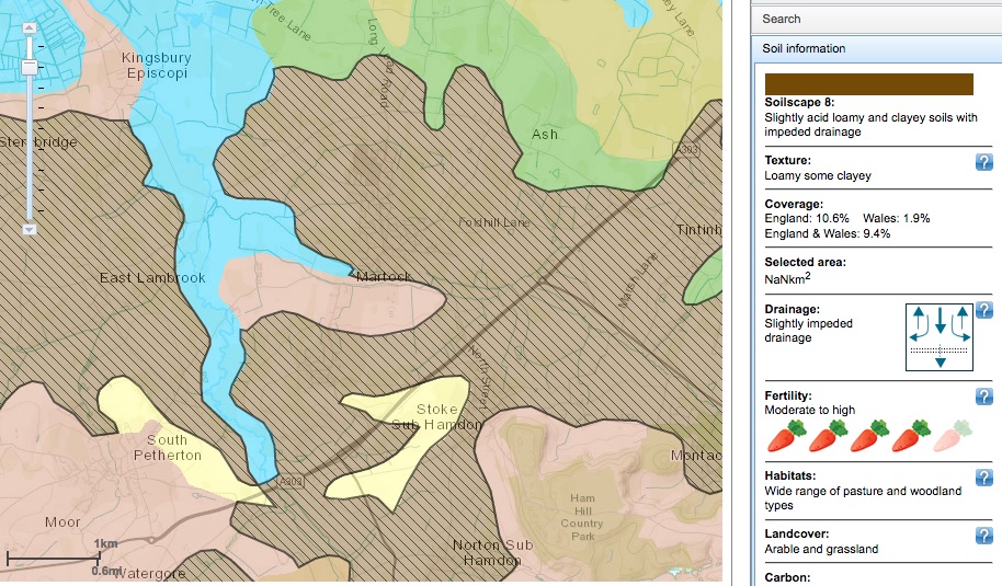 Martock Soilscape